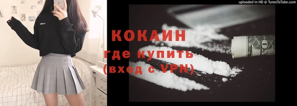 индика Пестово