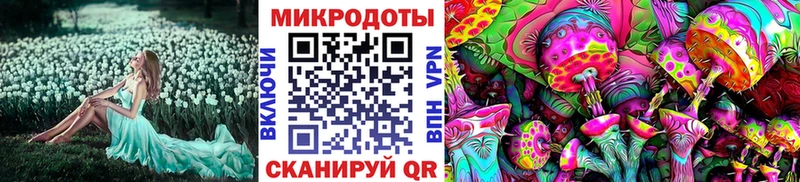 Псилоцибиновые грибы Magic Shrooms  Купить где  Бородино 